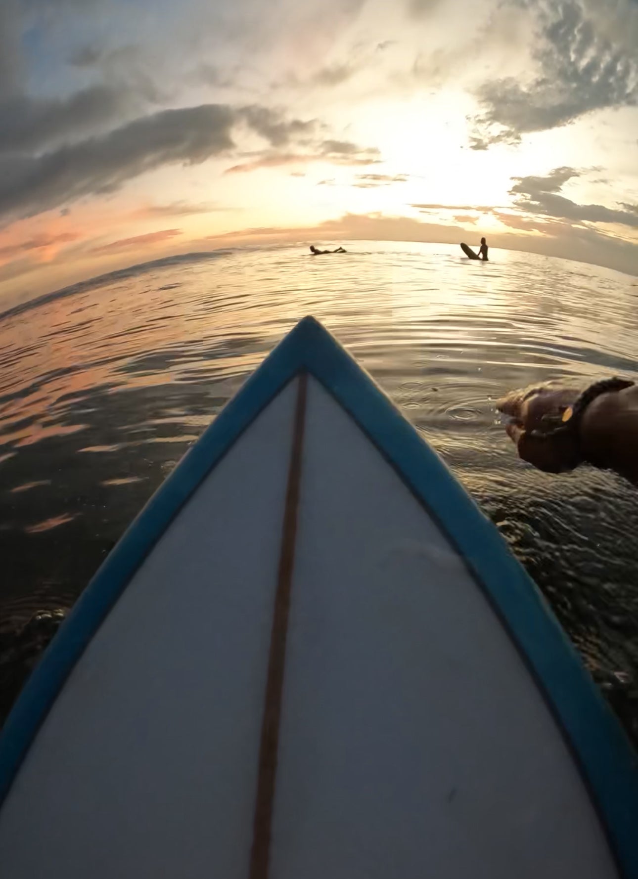 Surf Edition