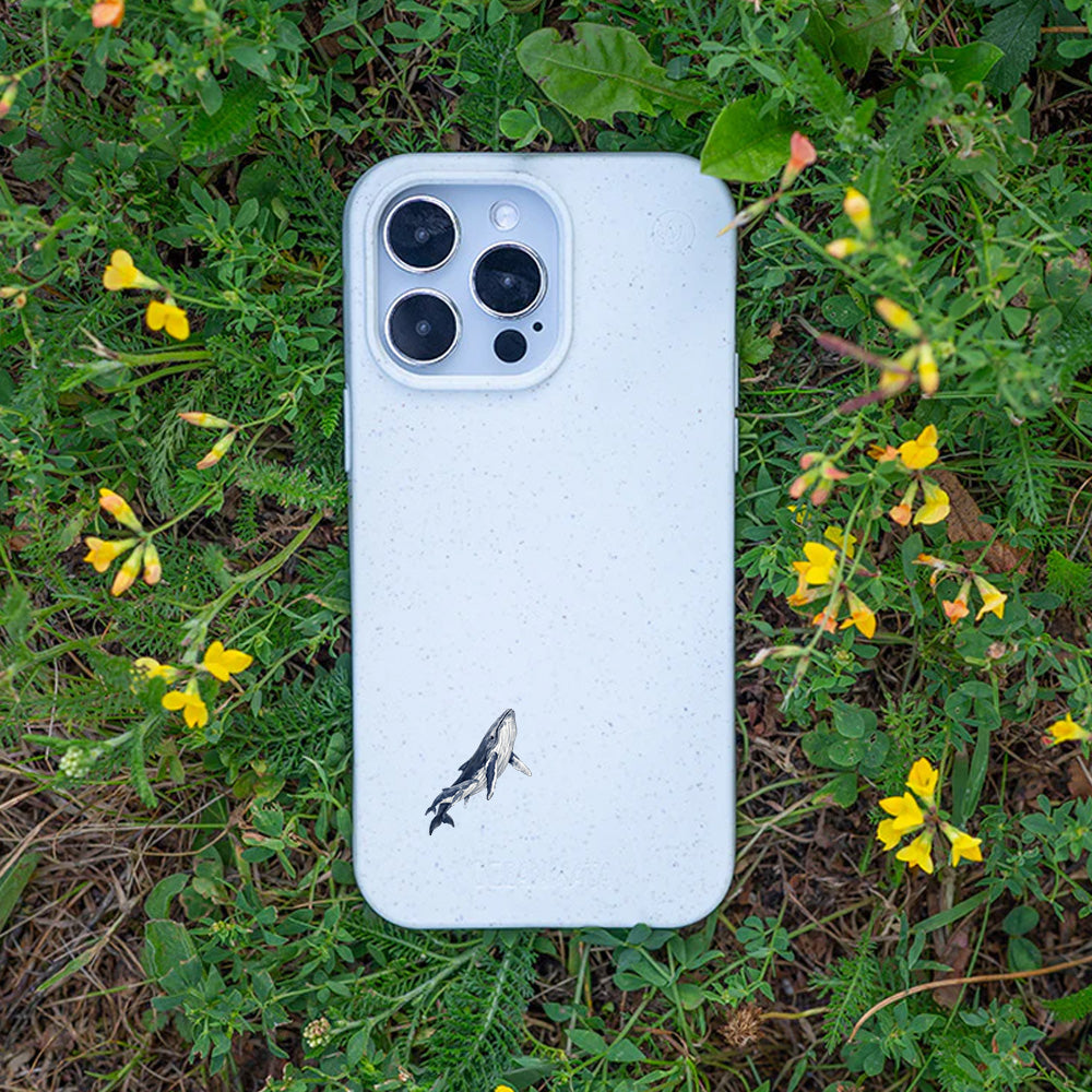 iPhone 14 Hülle - Buckelwal weiß - "OceanLullaby" - nachhaltig